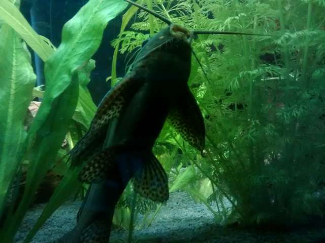 674866_0_82_20150115_13.jpg