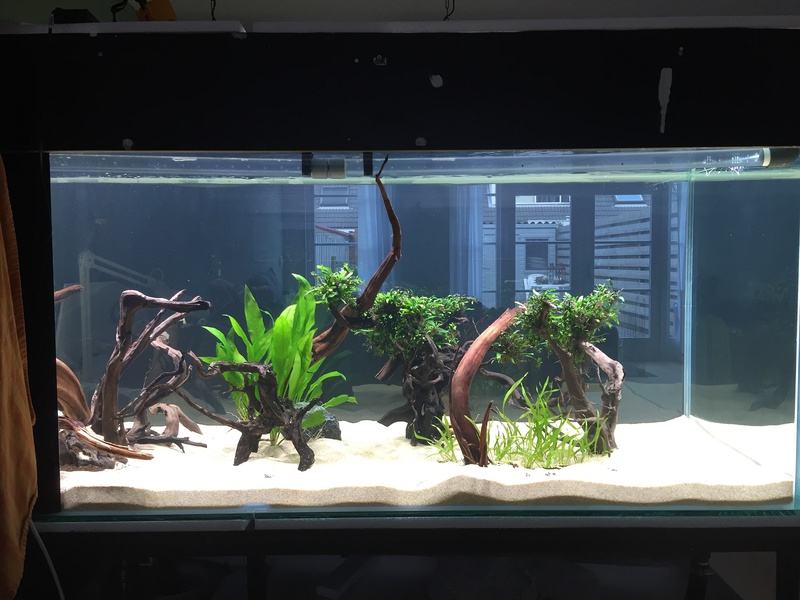 676498tuinkabouter_0_85_guppenbakke.jpg