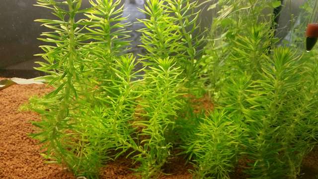 679557_0_82_20150913_134600.jpg