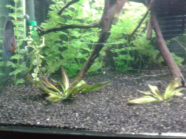683443_0_82_20140417_195335.jpg