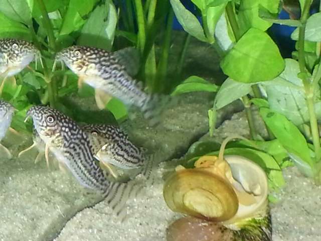684869_0_82_samsung_311013_259.jpg