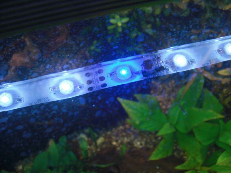 knop positie Schep Zelf LED inbouwen voor beginners (door een beginner) | AquaForum