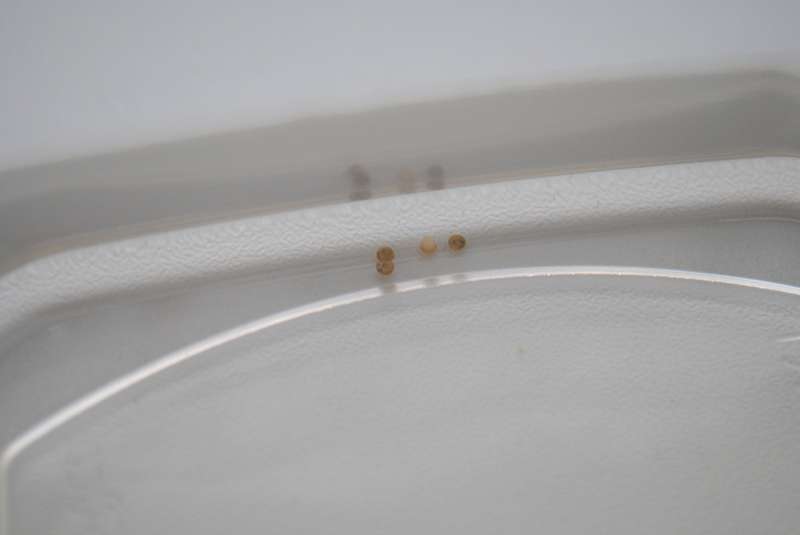 693859_0_82_104.jpg