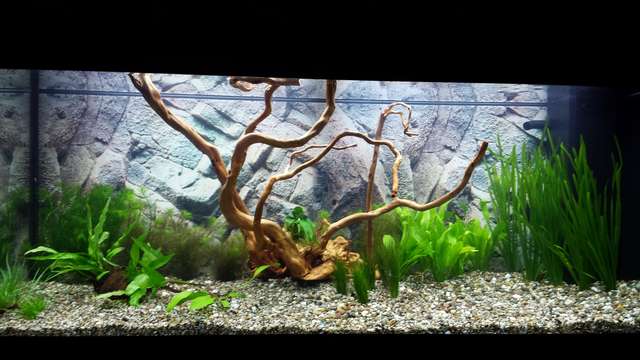 694476_0_82_20140130_165015.jpg