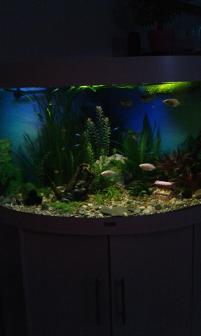 698248ruudmo_0_85_aquariu.jpg