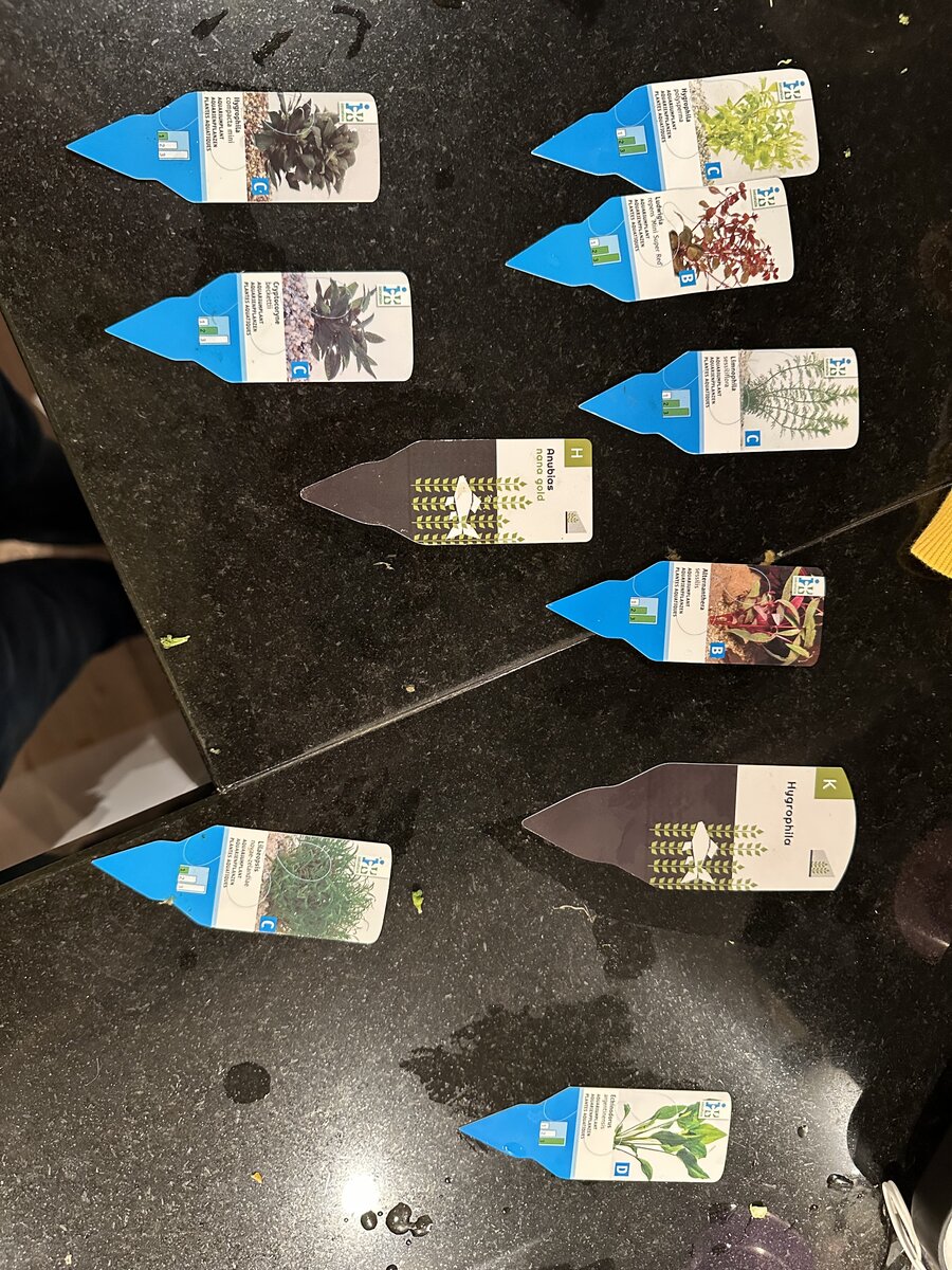 6F25E163-FA27-4728-AEE7-F0F32F8992A3.jpeg
