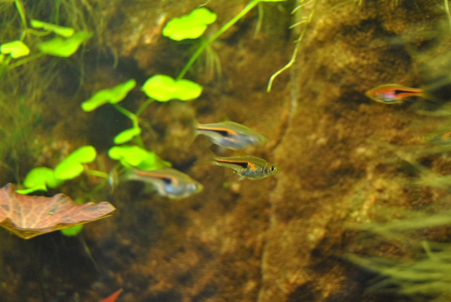 713652rrj_0_85_1604201.jpg