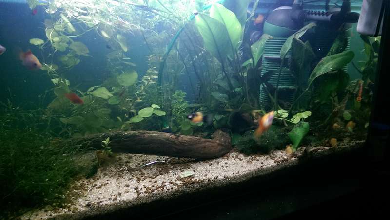 721722_0_82_20150719_23.jpg