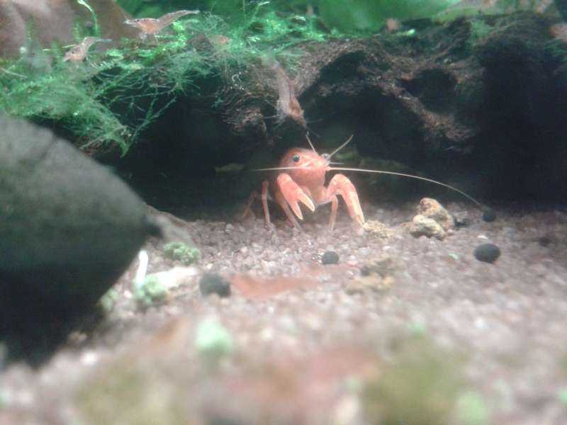 724345_0_82_20140421_231021.jpg