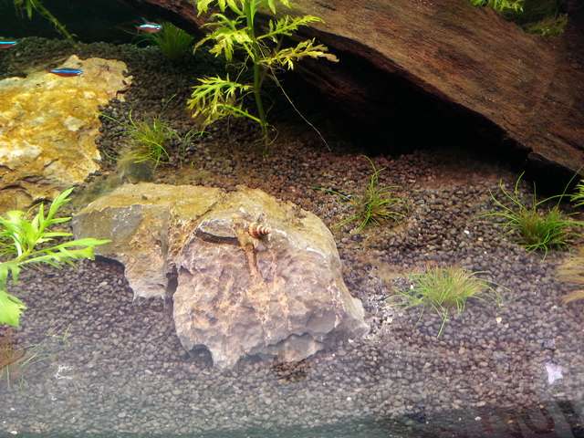 724527_0_82_20131223_140501.jpg