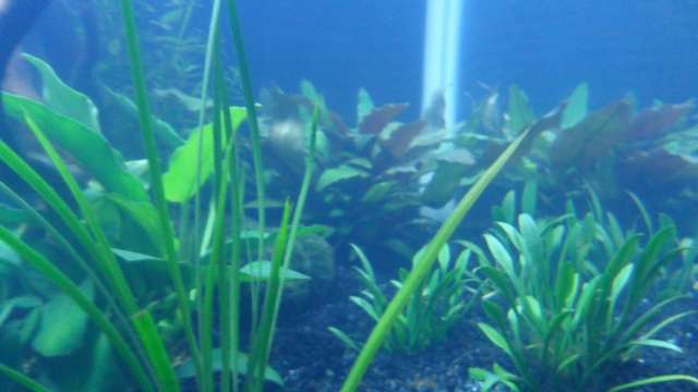 725397_0_82_sam_5176.jpg