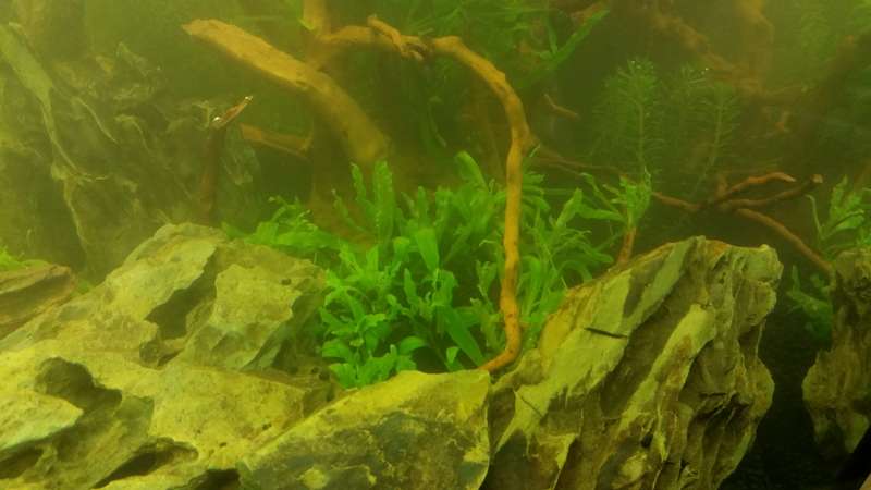 725842_0_82_20140627_190116.jpg