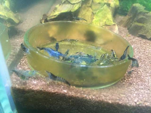 735467_0_82_foto_031015_20_15_16.jpg