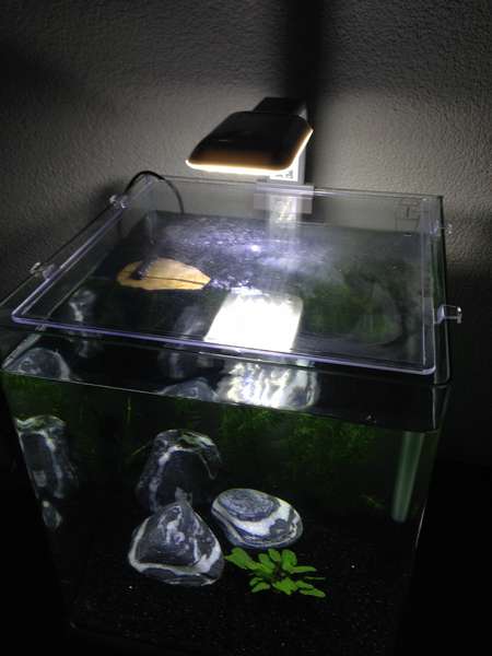 735828minizen_0_82_photo_140214_20_13_27.jpg