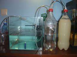 739283_0_82_test2.jpg