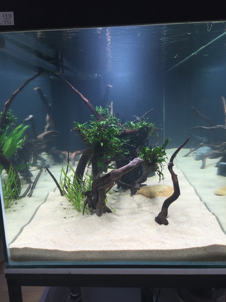 743832tuinkabouter_0_85_guppenbakke.jpg