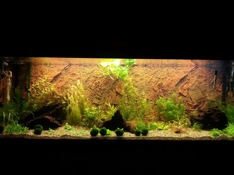 746535_0_82_aquarium_31.jpg