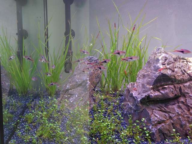 752166jsiegmund_0_82_dsc00055.jpg