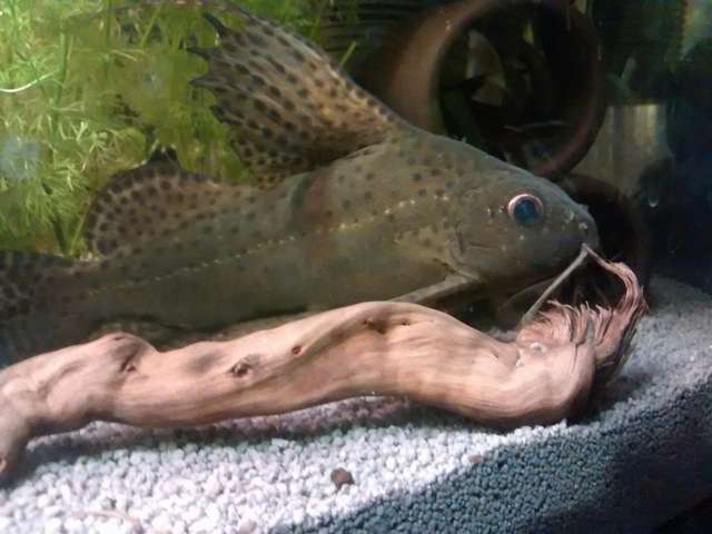 755652_0_82_20150124_18.jpg