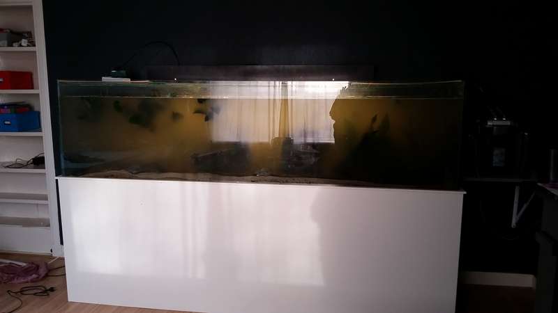 758424liesseling_0_82_20150416_192641.jpg