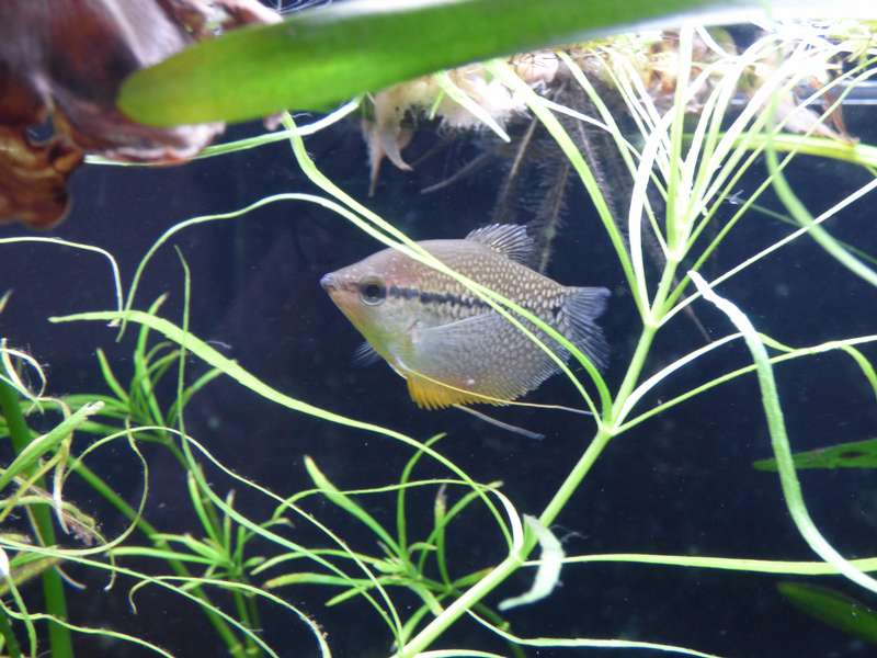 758948_0_82_aquarium_112.jpg