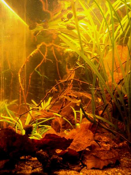 762977_0_82_dsc02762.jpg