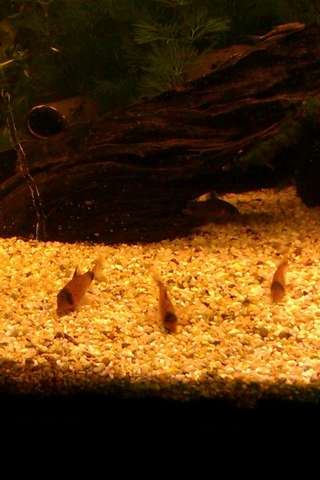 764891lique_0_82_20131118_21.jpg