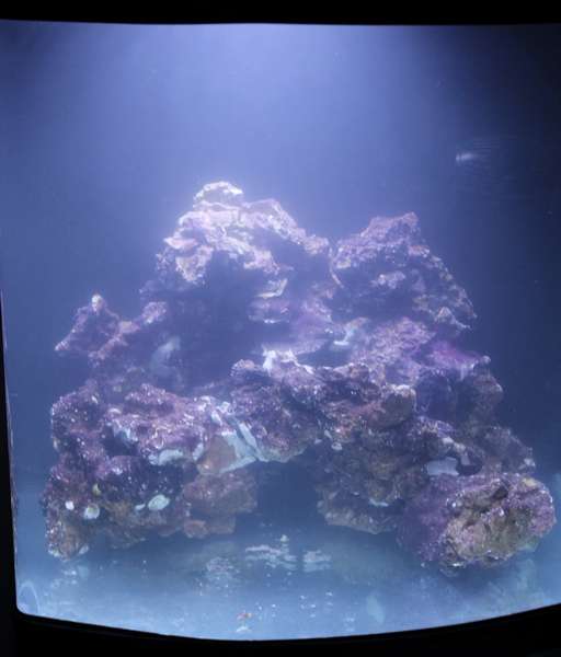 772871popol_0_82_aquar57.jpg