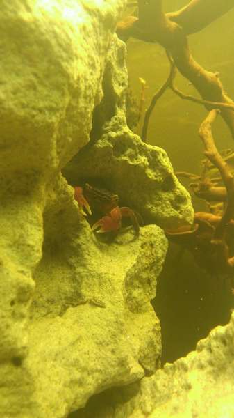 774553mirznddjoards_0_82_wp_20140220_012.jpg