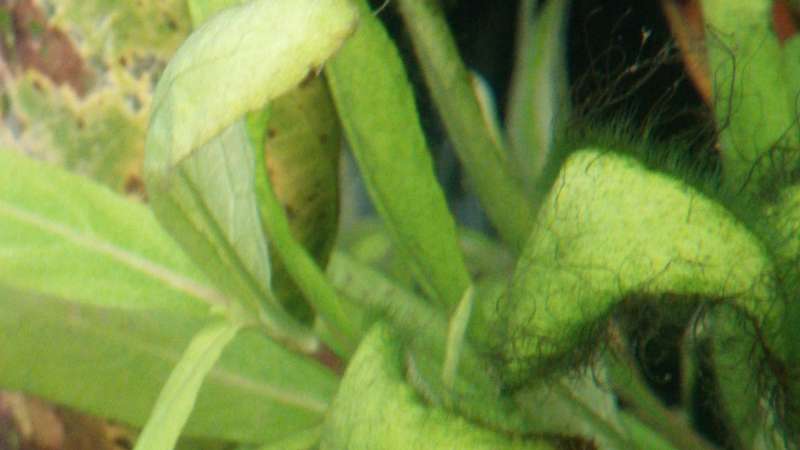 782662_0_82_cam00166.jpg