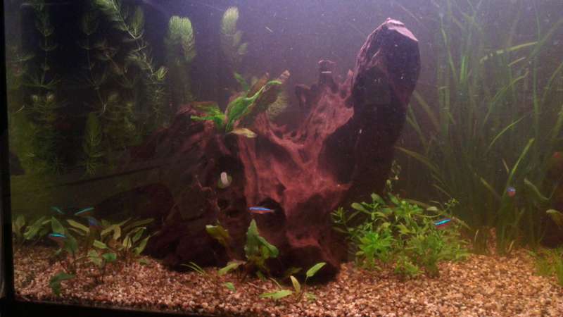 782725_0_82_imag0144.jpg