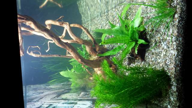 786943_0_82_20140130_165110.jpg
