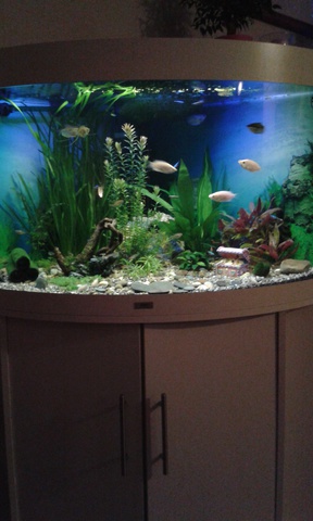 791687ruudmo_0_85_aquariu.jpg