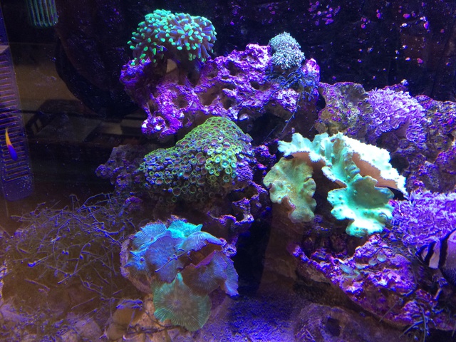 792547aquaria17_0_84_image6.jpg