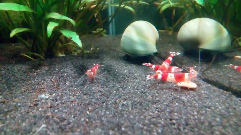 796161blupjes_0_82_img_20150830_1452041.jpg