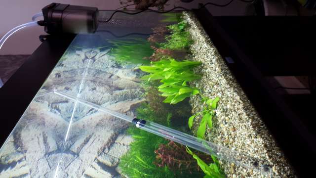 796532_0_82_20140129_143024.jpg