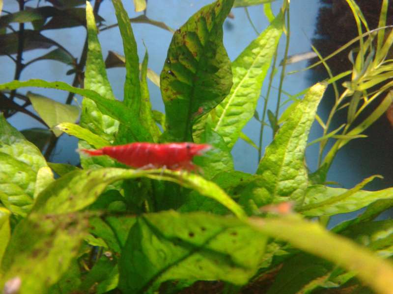 799227_0_82_20141215_16.jpg