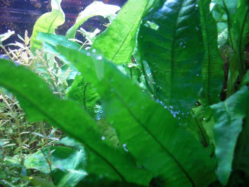 812692_0_82_cimg2118.jpg