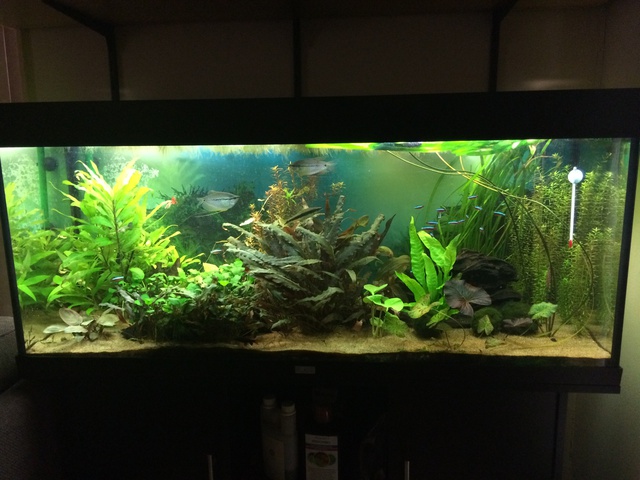 812939aquaria17_0_84_image3.jpg
