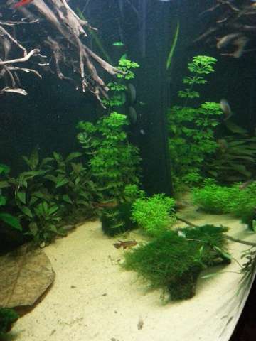 815281_0_82_20150128_143950.jpg