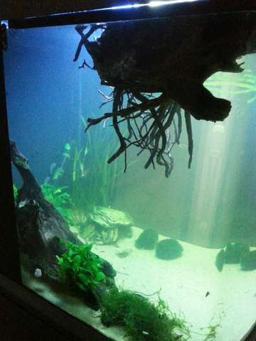 815731_0_82_20141231_151703.jpg