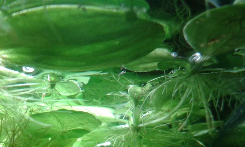 826462an_vrolijk_0_82_20140511_130607.jpg