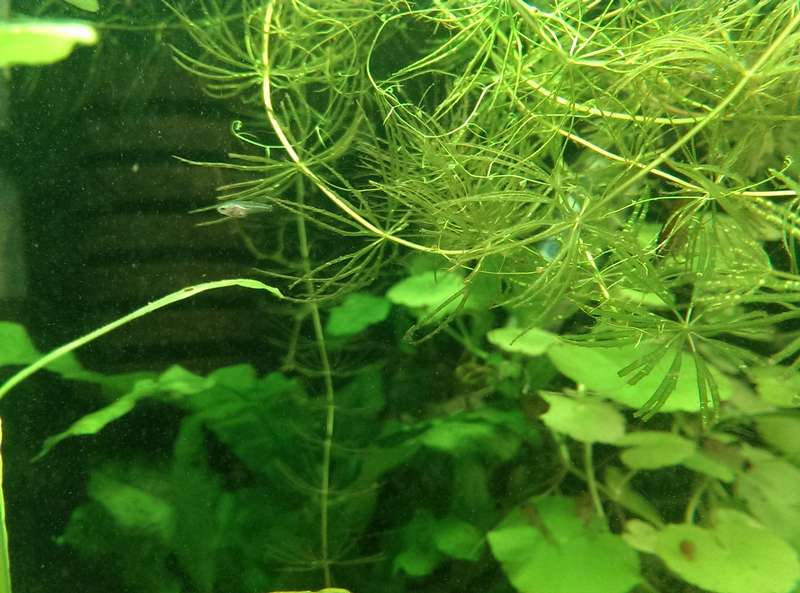 831694_0_82_20140625_18.jpg