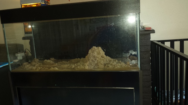 837688susan84_0_85_aquarium_1.jpg