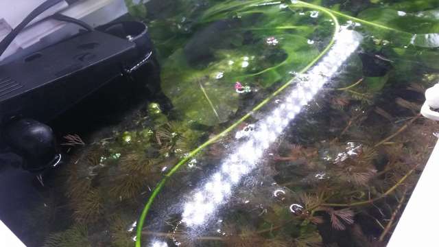 837976_0_82_20160726_120611.jpg
