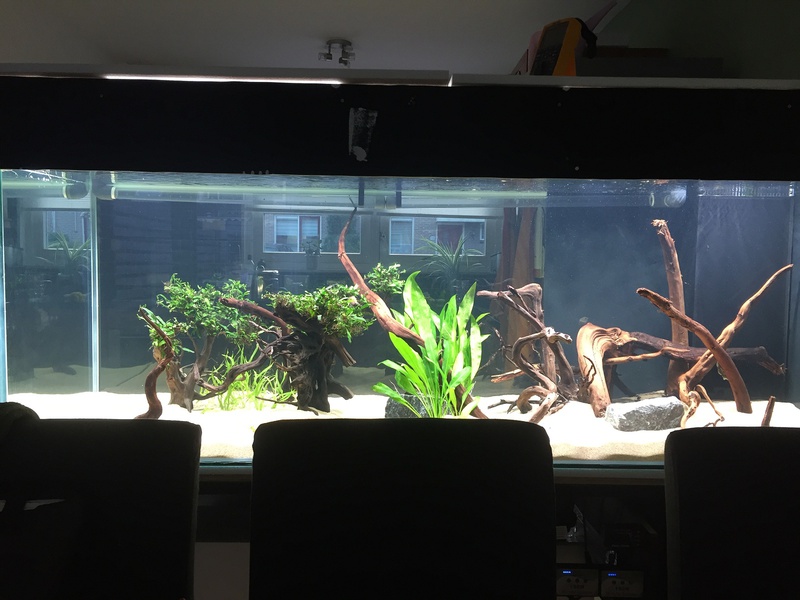838577tuinkabouter_0_85_guppenbakke.jpg