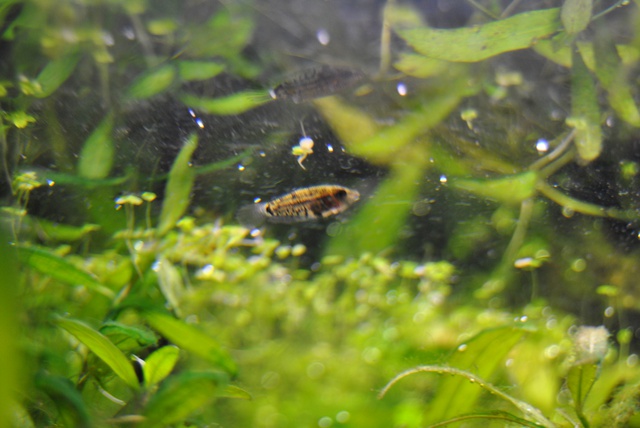 839373rrj_0_85_1605201.jpg