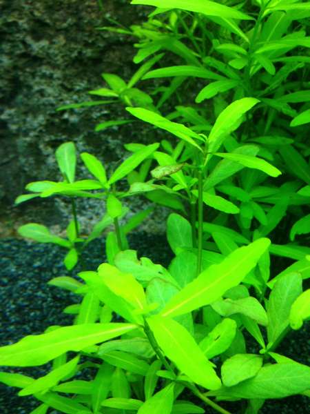 839411_0_82_img_0864.jpg