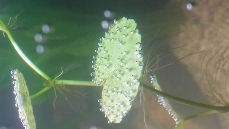 843236zeethakje_0_82_20140713_194331.jpg