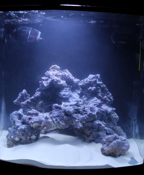 843383popol_0_82_aquar81.jpg